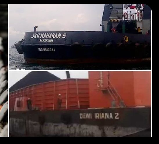 lele jumbo tweet media