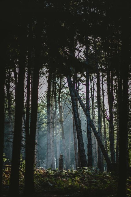 Photography by Annie spratt