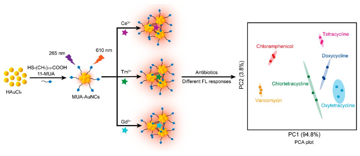 chemosens_MDPI's tweet image. #Article
Gold Nanocluster-Based Fluorescent Sensor Array for Antibiotic Sensing and Identification by Mengjiao Mo, et al.
doi.org/10.3390/chemos…

@MDPIOpenAccess
#antibiotics #sensorarray #goldnanoclusters #rareearthions