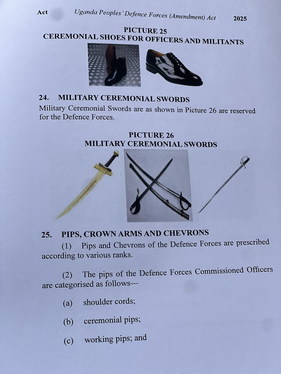Parliament_Ug's tweet image. Section 117A creates Schedule B which establishes military stores which are a monopoly of the Defence Forces, and includes ceremonial shoes for officers and militants.