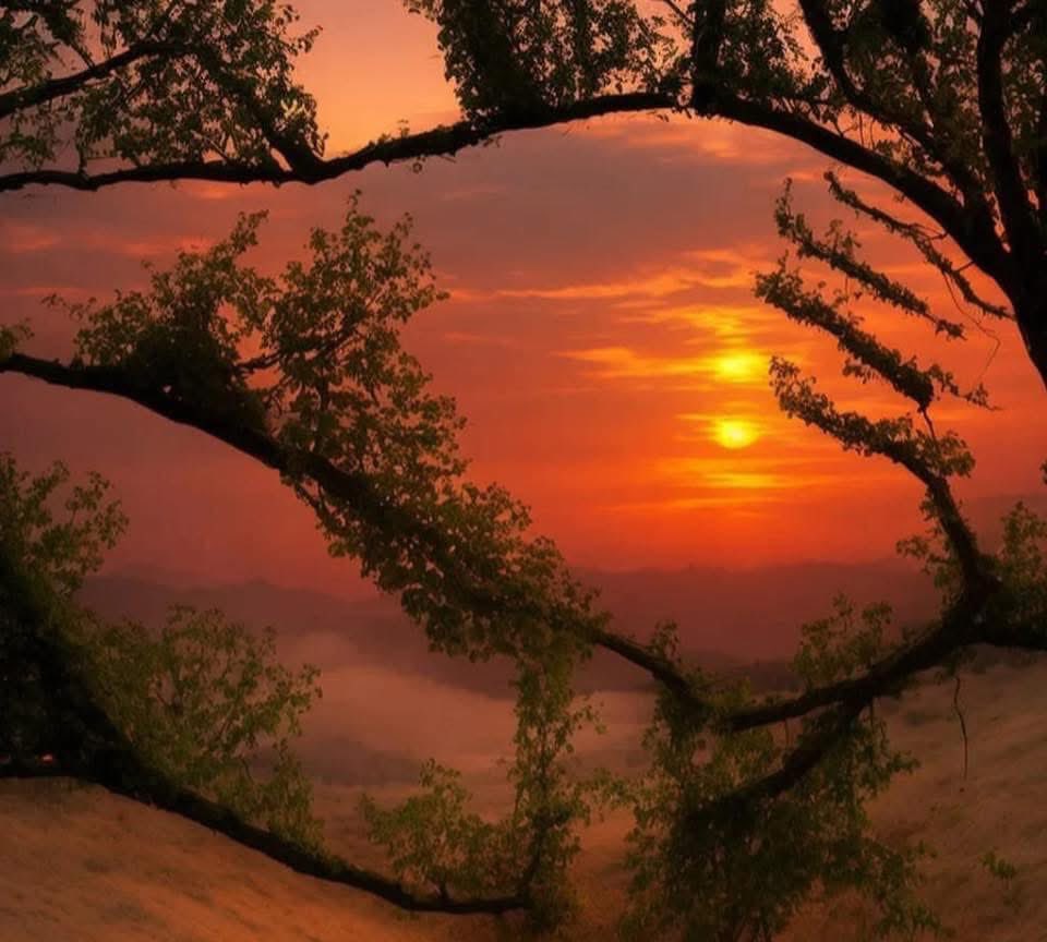 Kemal nesrin (@kemalnesrin1) on Twitter photo 