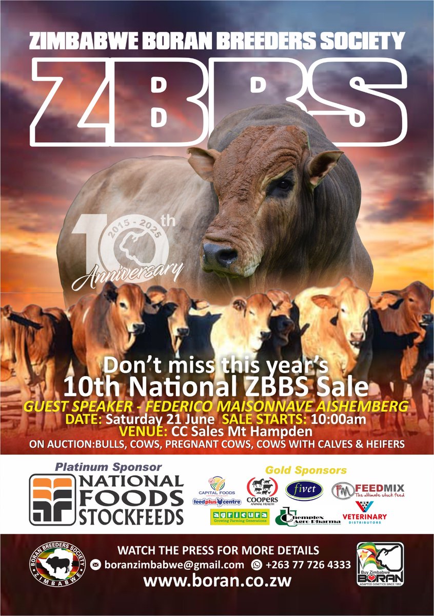 ZwAgriculture's tweet photo. 🐂 Zimbabwe Boran Breeders Society celebrates 10 YEARS!
Join the 10th National ZBBS Sale featuring quality genetics:

Bulls • Cows • Pregnant cows
Cows with calves • Heifers

📅 Saturday, 21 June at Sale Mt Hampden
⏰ Registration: 10:00 AM
#BoranCattle #ZBBS10Years https://t.co/H9KTEF8q9E