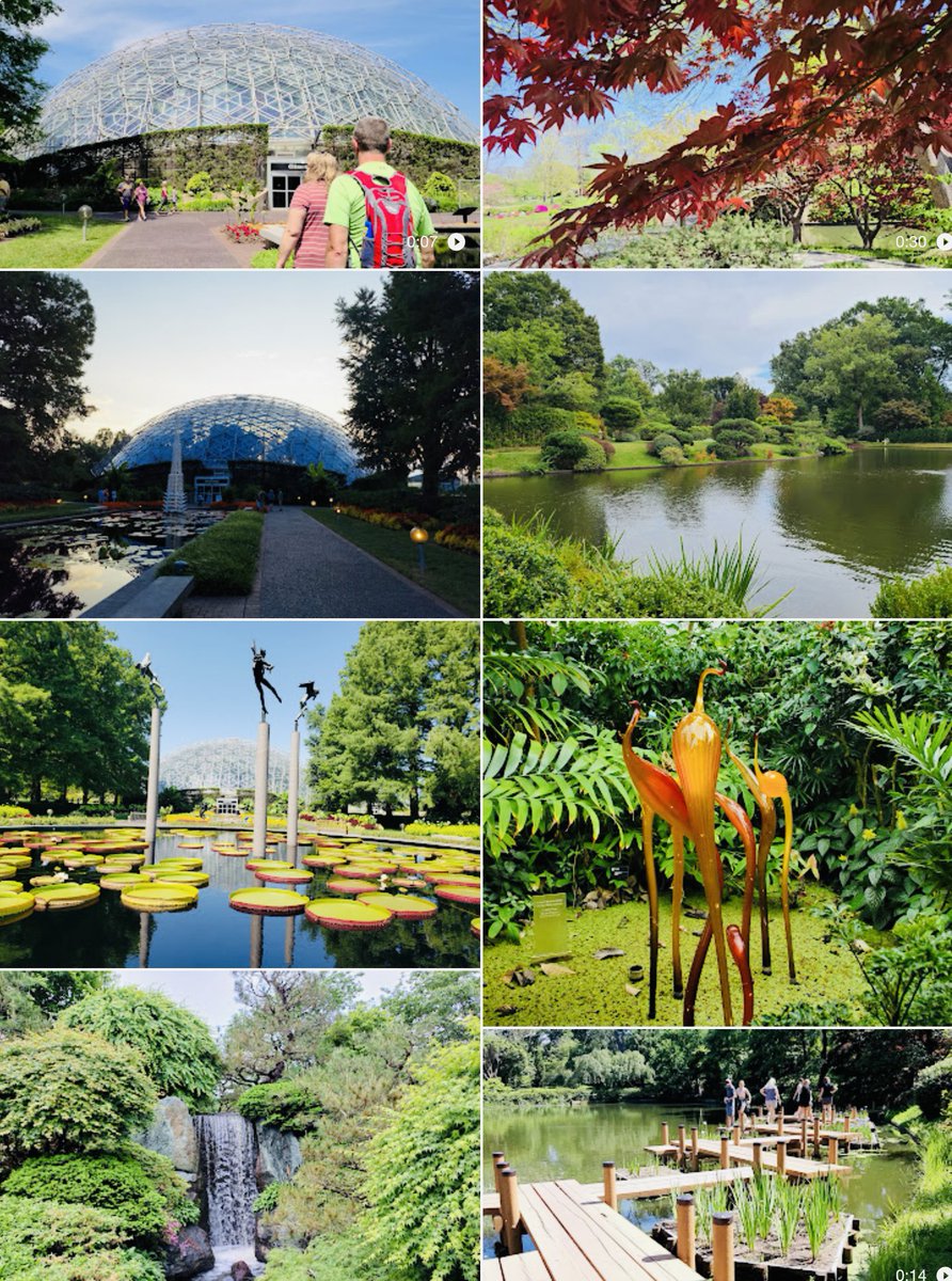✅ The <a href="/mobotgarden/">MO Botanical Garden</a> has special ticket pricing for Illinois residents this week. missouribotanicalgarden.org/illinois-appre… #twill