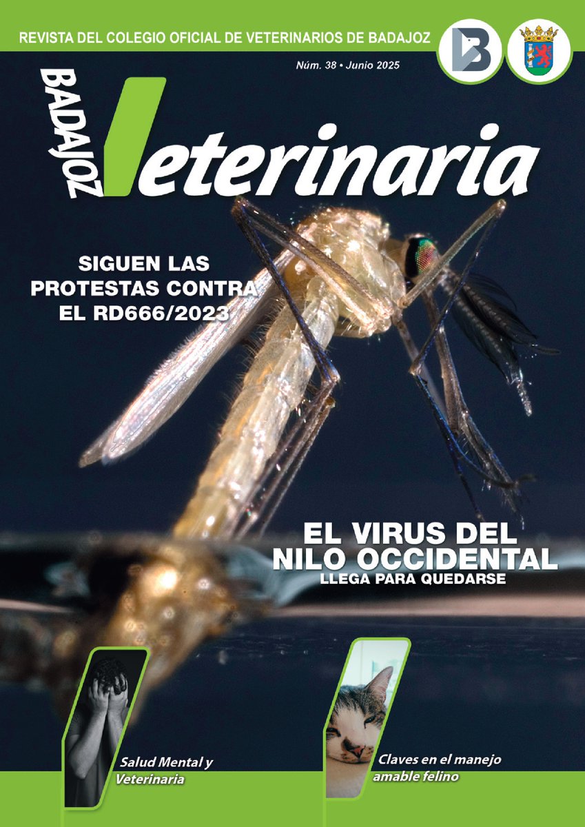 Elisa Pérez-Ramírez (@bureli) on Twitter photo Ya está publicado en la revista del <a href="/Colvetba/">Colegio de Veterinario de Badajoz</a> nuestro artículo "El virus del #NiloOccidental, el virus que llegó a España para quedarse".
Ahora que acaba de empezar la temporada de mosquitos... ¡más nos vale estar bien informados!
colegioveterinariosbadajoz.com/wp-content/upl… Ya está publicado en la revista del <a href="/Colvetba/">Colegio de Veterinario de Badajoz</a> nuestro artículo "El virus del #NiloOccidental, el virus que llegó a España para quedarse".
Ahora que acaba de empezar la temporada de mosquitos... ¡más nos vale estar bien informados!
colegioveterinariosbadajoz.com/wp-content/upl…