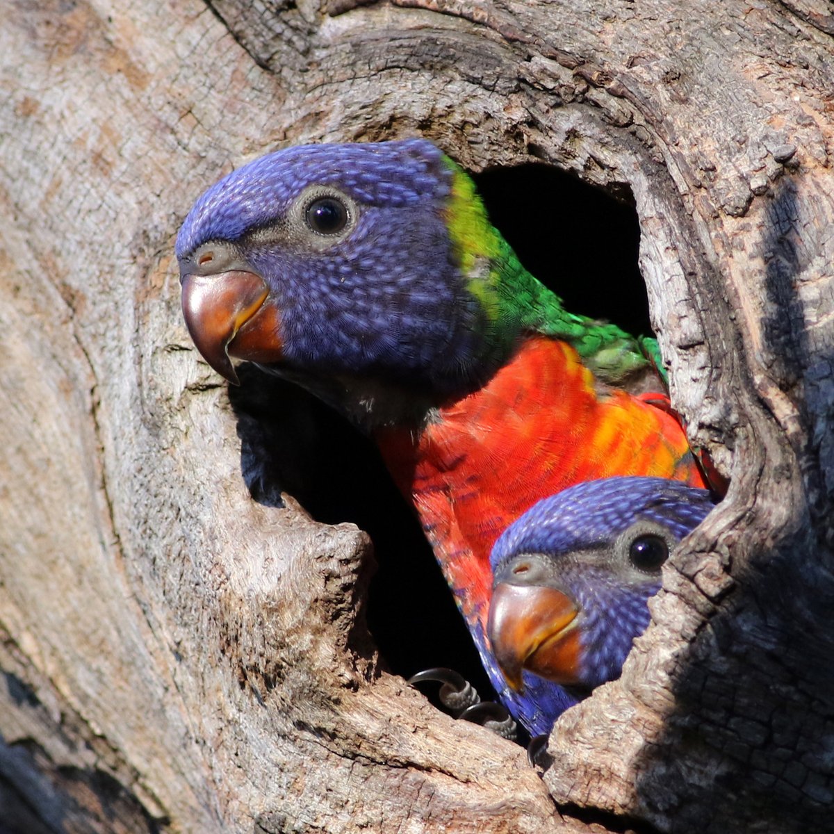 Sandy Horne tweet media