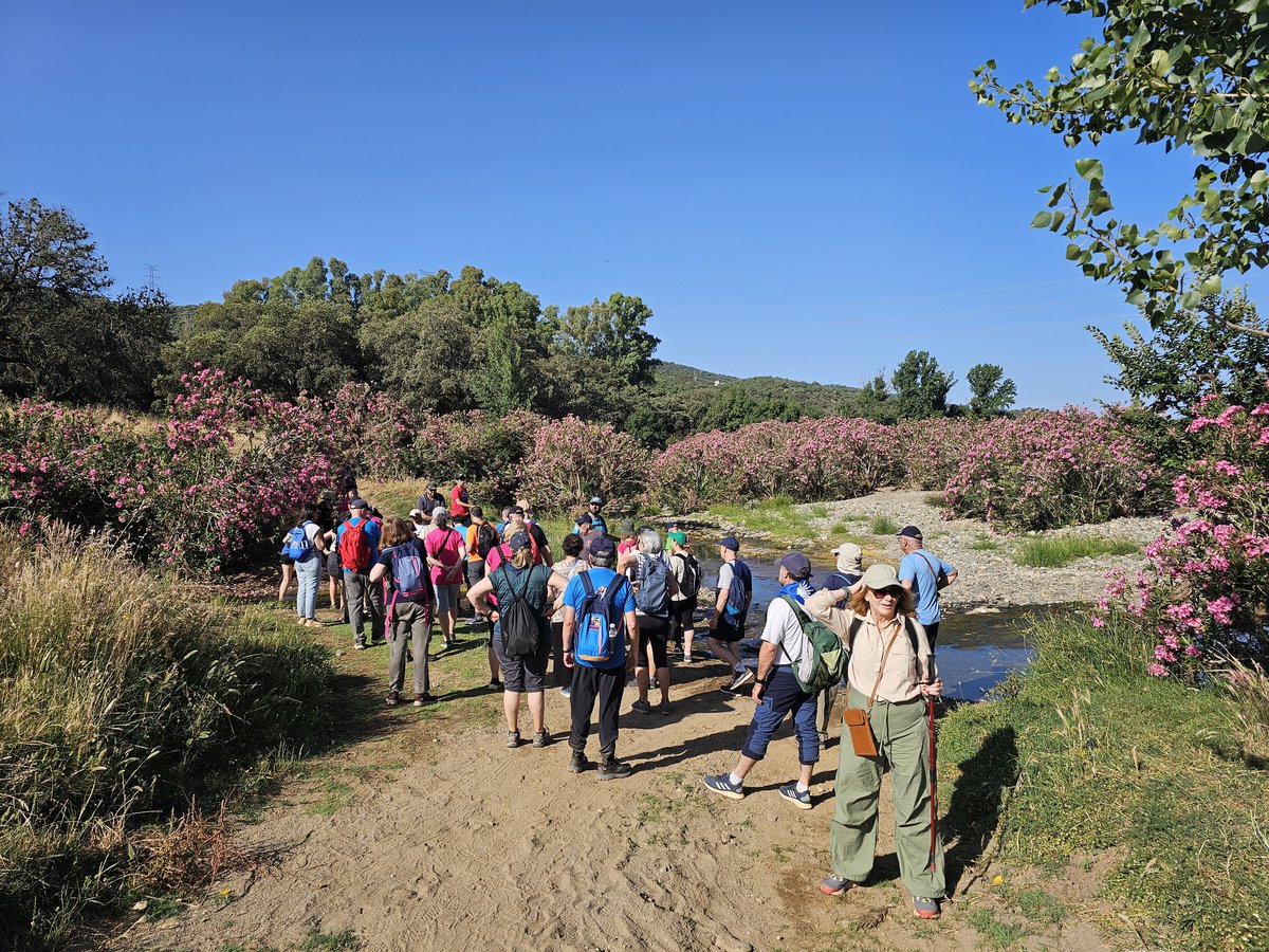 VPlataSevilla's tweet photo. Almadén de la Plata, 14 de junio de 2025
Así se vivió la Jornada @semtayr  organizada por el GDR Sierra Morena Sevillana: una jornada intensa y participativa centrada en la dinamización del Camino de Santiago a su paso por nuestro territorio.
Comenzamos con una ruta interpretada https://t.co/s5mTJHopk3