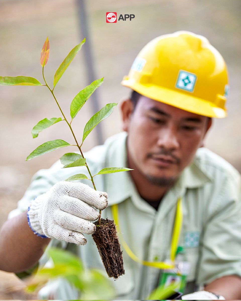 APP Group (@appgroup_id) on Twitter photo “He who plants a tree plants hope.” — Lucy Larcom, poet and writer.
#MondayMotivation #APPGroup “He who plants a tree plants hope.” — Lucy Larcom, poet and writer.
#MondayMotivation #APPGroup