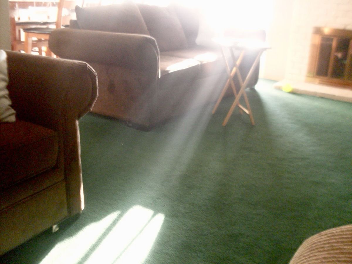 dreamland (@dreamland_usa) on Twitter photo 