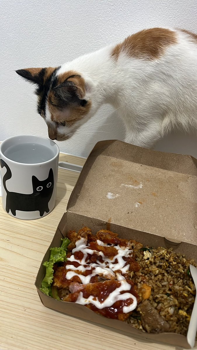cipikacipi's tweet photo. @kochengfs Kucing gua selalu pengen minum air punya gua, iya punya gua dan dia juga baru mau minum kalo pake gelas https://t.co/zgKpJp1I43