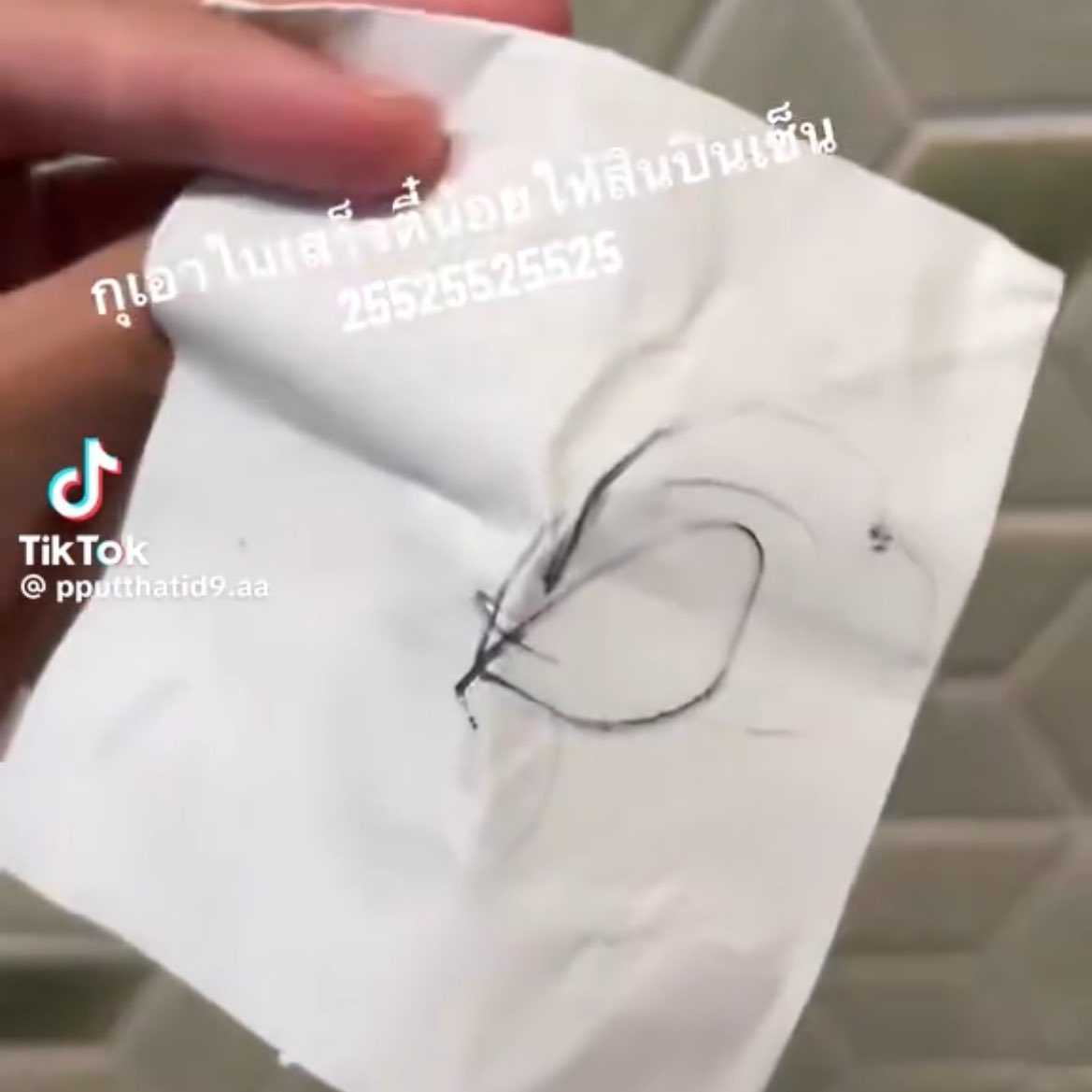 개웃겨 태국팬들 영상 보는데 사람 많아서 그런지 영상 없었으면 카제 사인인지도 모르는거 ㅠㅠ