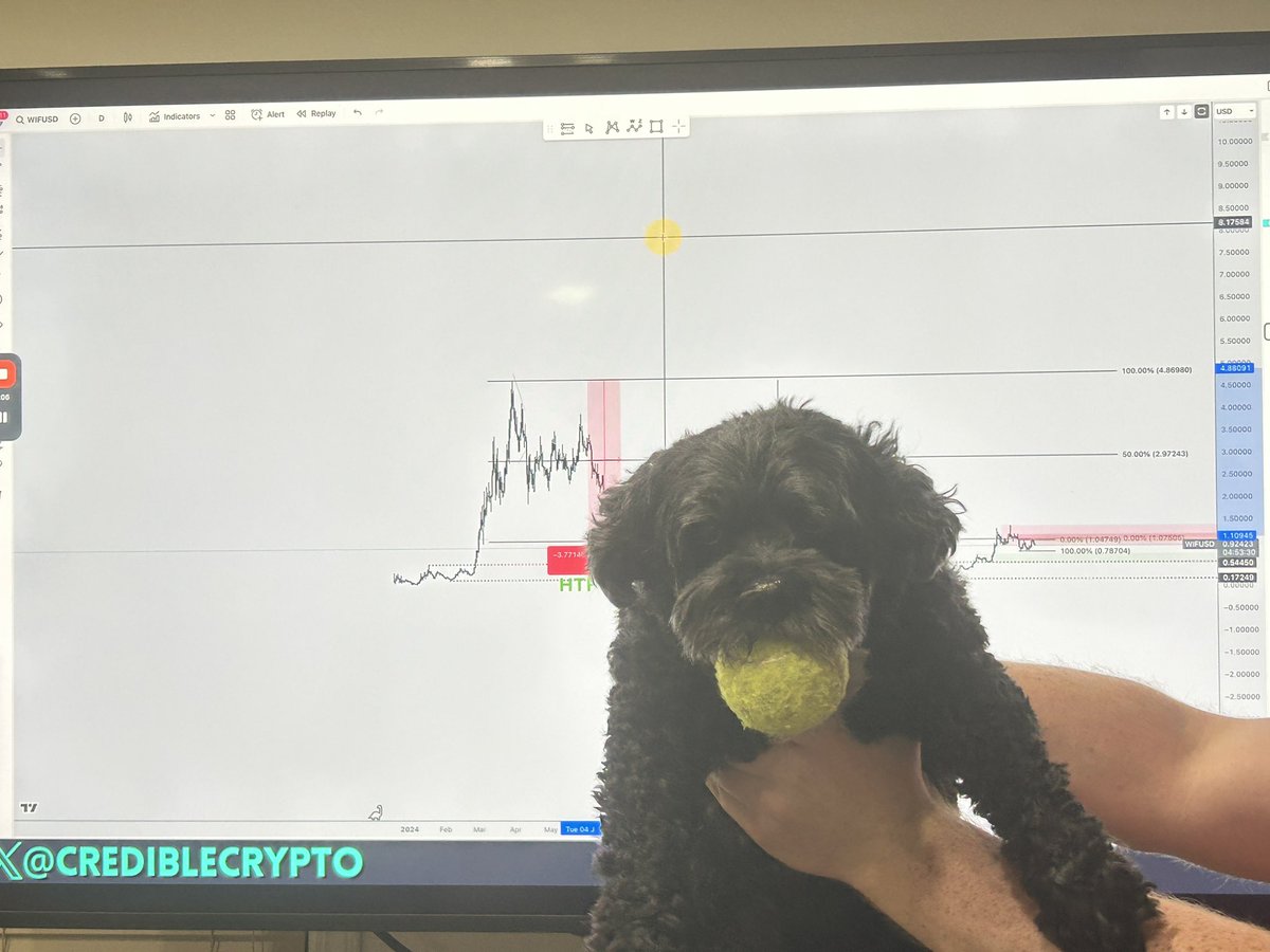 Teagan tweet media