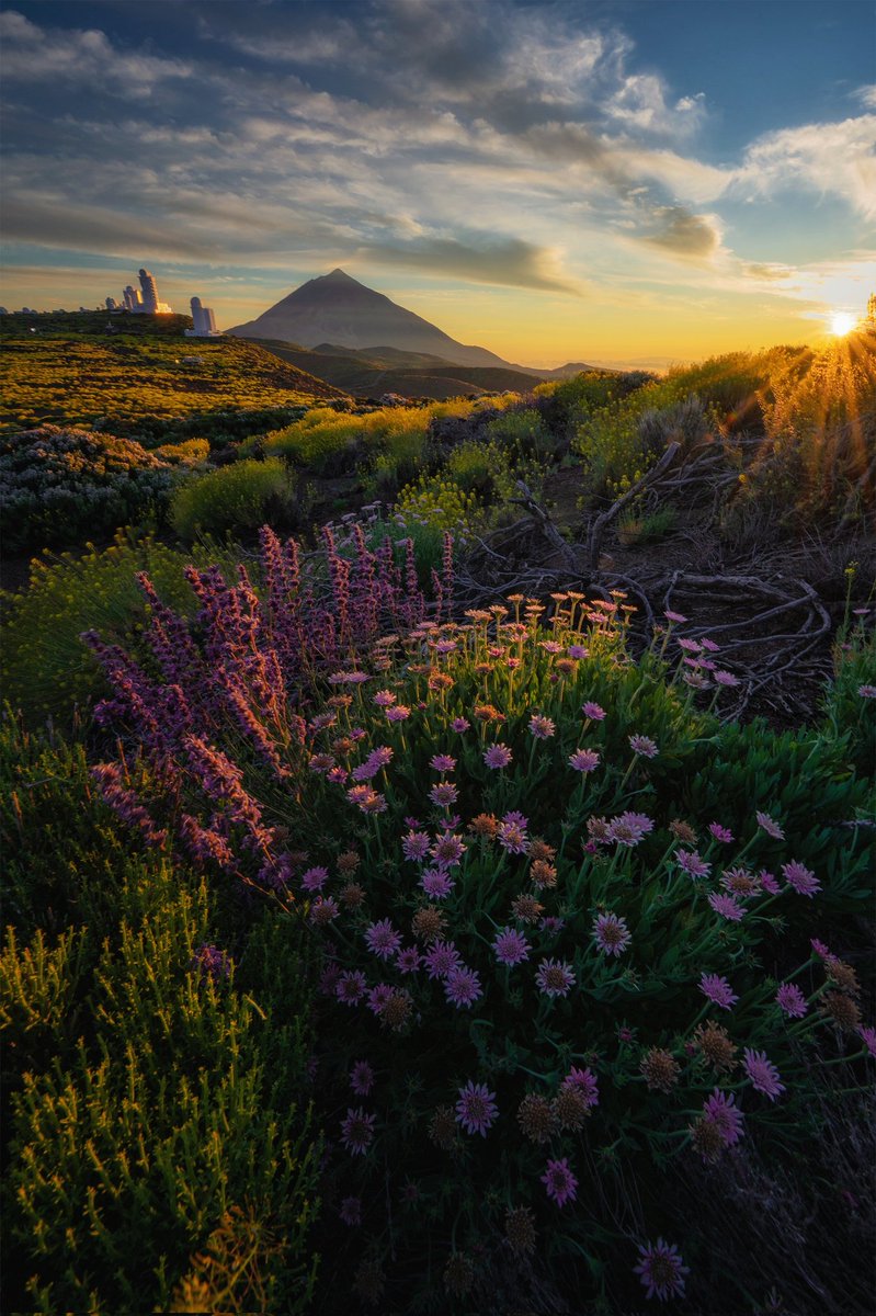 Aquí dejo otra foto del precioso atardecer del pasado sábado en el Parque Nacional del Teide

#Tenerife #Canarias