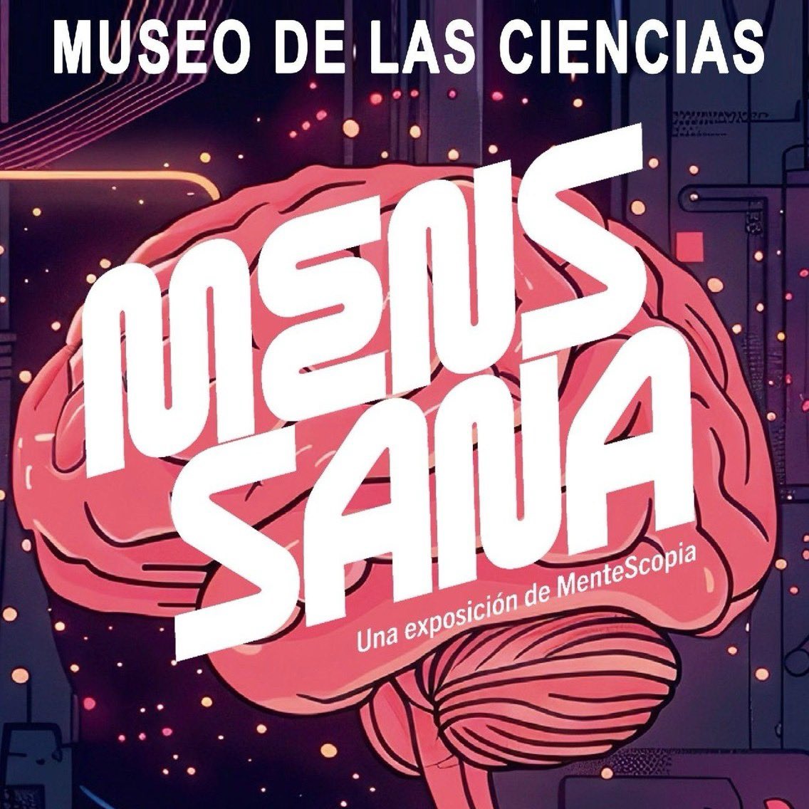🧠✨ ¡No te pierdas MensSana, la exposición sobre salud mental en nuestro museo!

Esta exposición temporal estará disponible hasta finales de este año y cuenta con la participación de profesionales y usuarios de entidades como UCLM, Aspadec y Asociación Pro-Salud Mental Vivir.