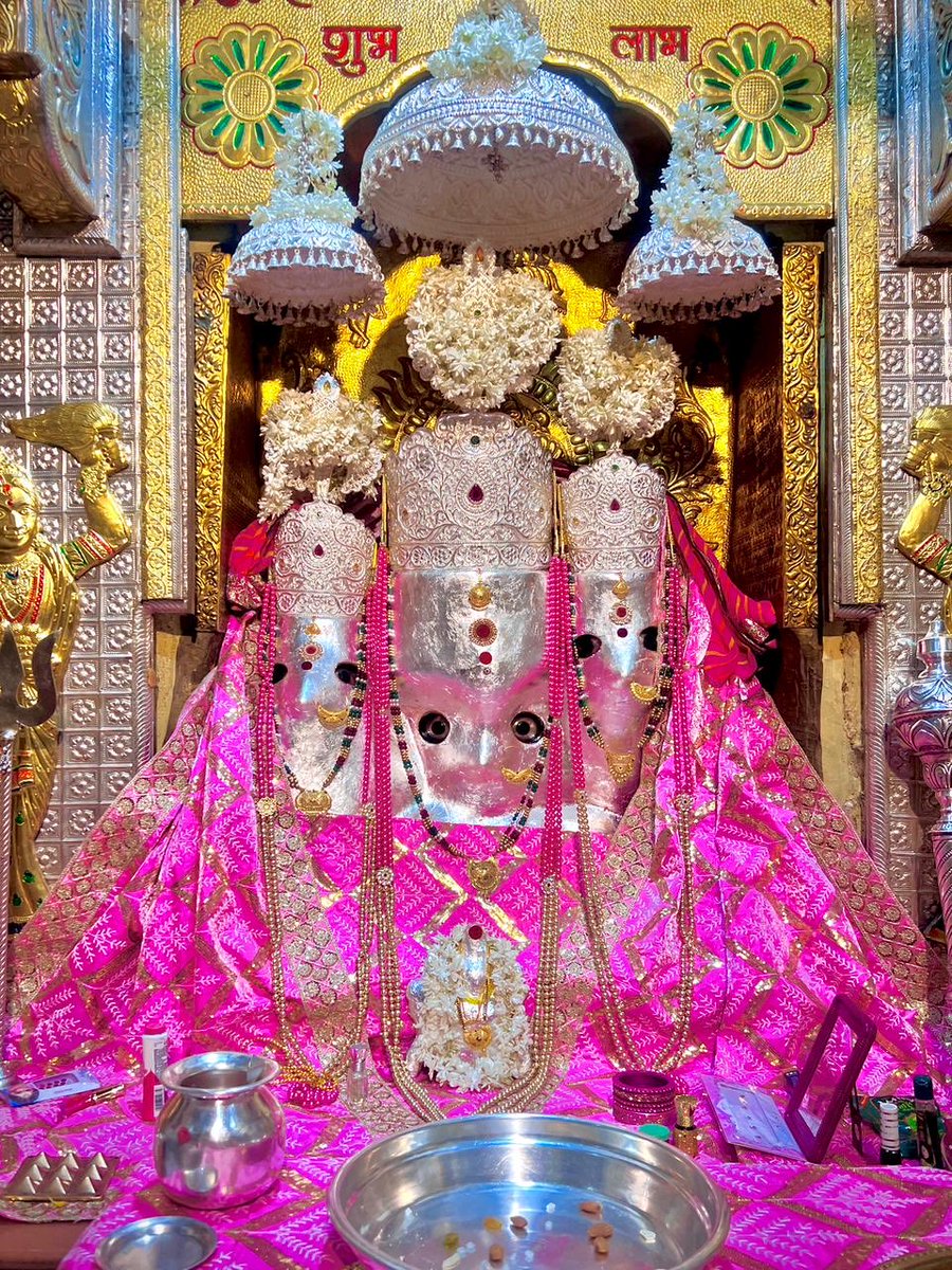 माँ नलखेड़ा वाली बगलामुखी माता तेरी सदा ही जय हो। आज के दिव्य दर्शन। १६/६/२०/२५🙏💐