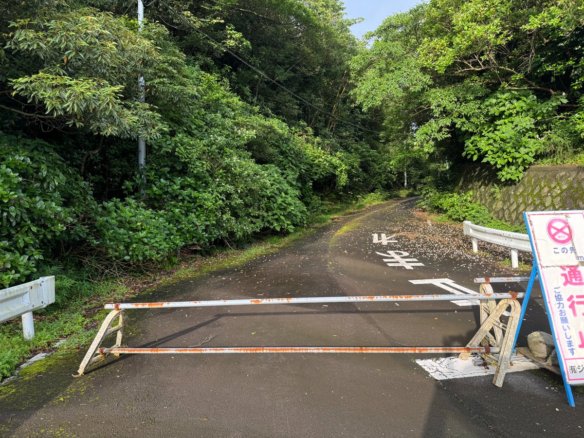 ohshimaonsen's tweet image. こんにちは、大島温泉ホテルでございます。
今回は少し特殊な?大島の楽しみ方を紹介いたします。大島には、一周道路の存在や経年劣化などにより廃道になった道があります。奥に見える崩れ落ちたガードレールや樹木に覆われた道を見ると少しノスタルジックな気分になりませんか😌
#大島温泉ホテル