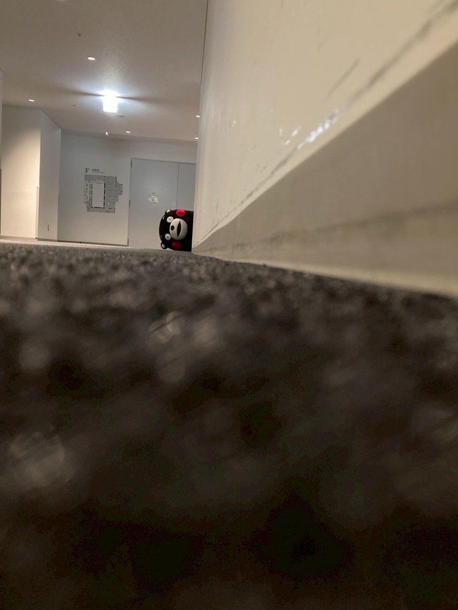 55_kumamon's tweet photo. おやくま～☆ https://t.co/btvlAsvlnc