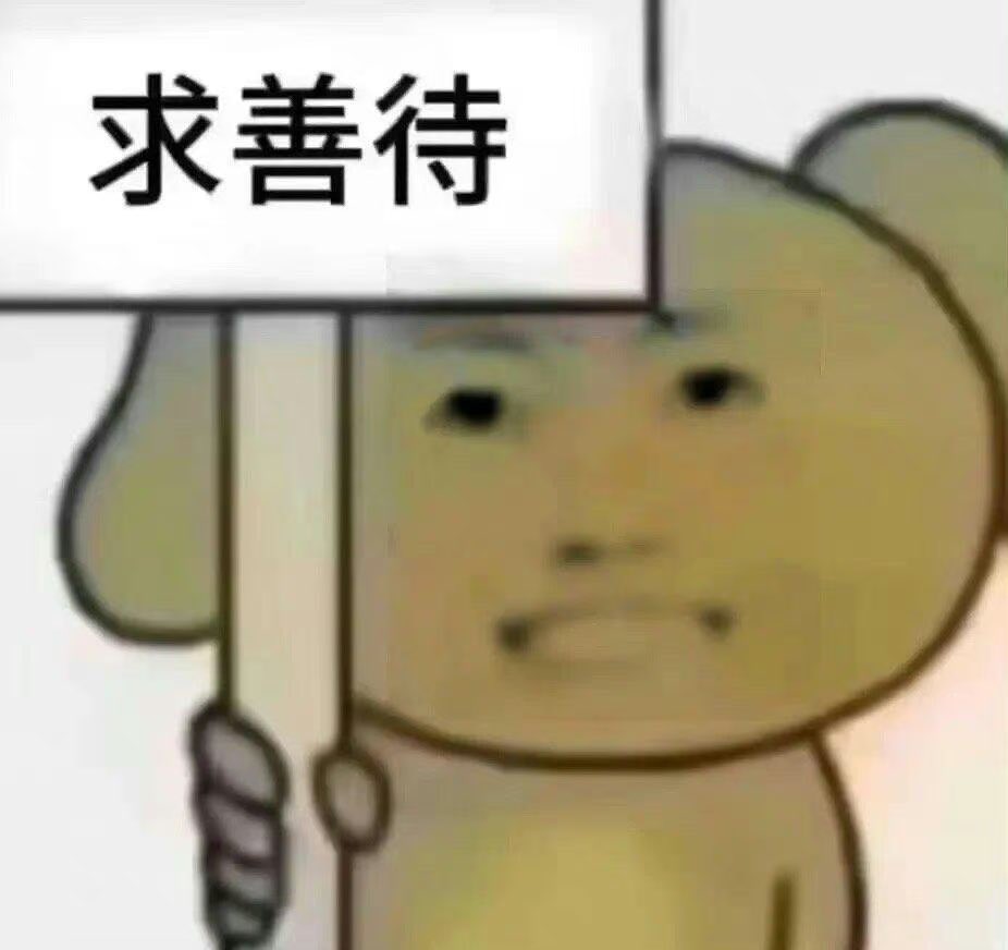 媒体预览