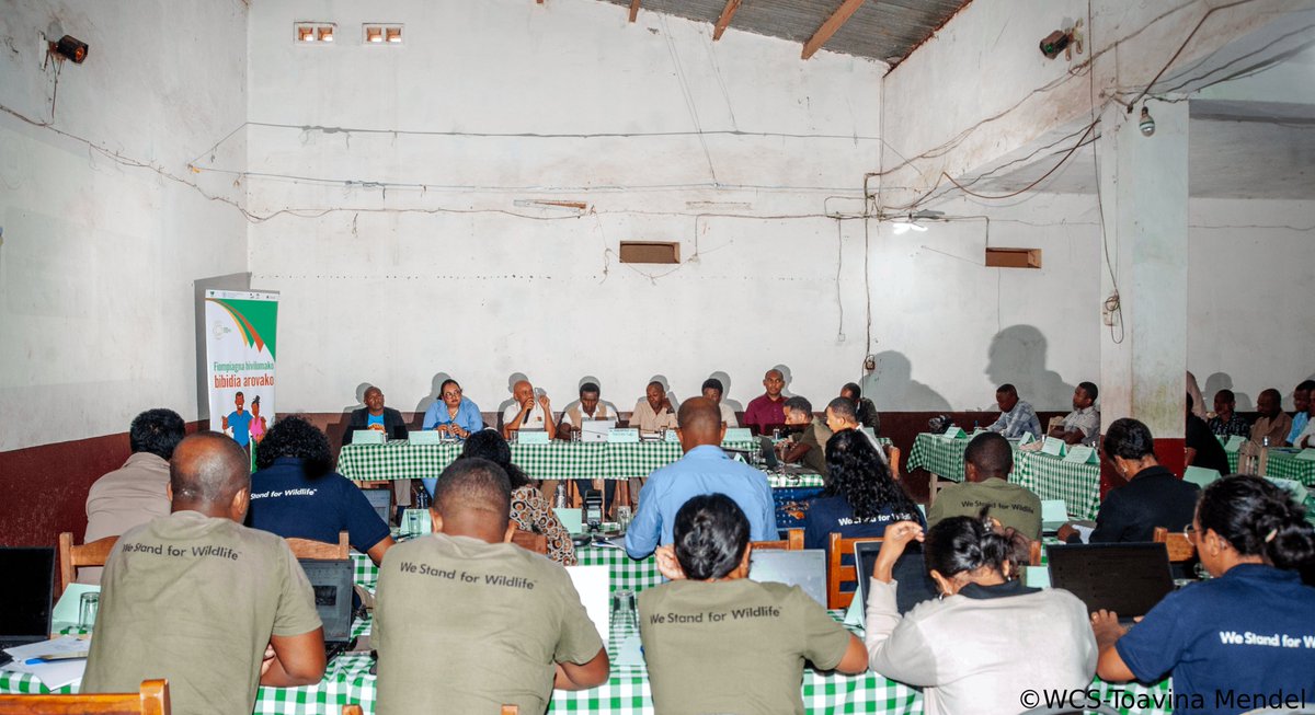 WCS_Mada's tweet image. On June 3, WCS brought together over 60 regional, local and community players, in Mandritsara for the 2025 SWM Sustainable Wildlife Management regional workshop to review progress and plan for year 3.
#SWMProgramme #WCSMadagascar