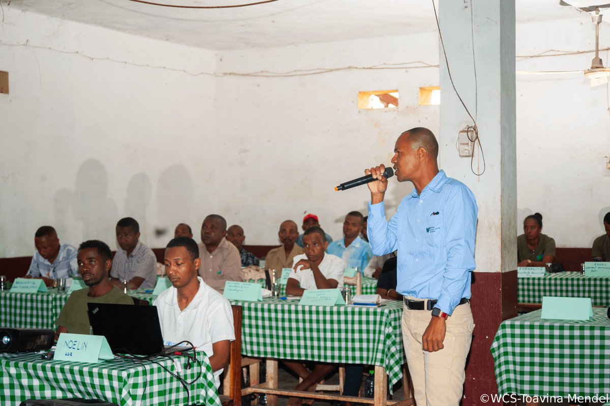 WCS_Mada's tweet image. On June 3, WCS brought together over 60 regional, local and community players, in Mandritsara for the 2025 SWM Sustainable Wildlife Management regional workshop to review progress and plan for year 3.
#SWMProgramme #WCSMadagascar