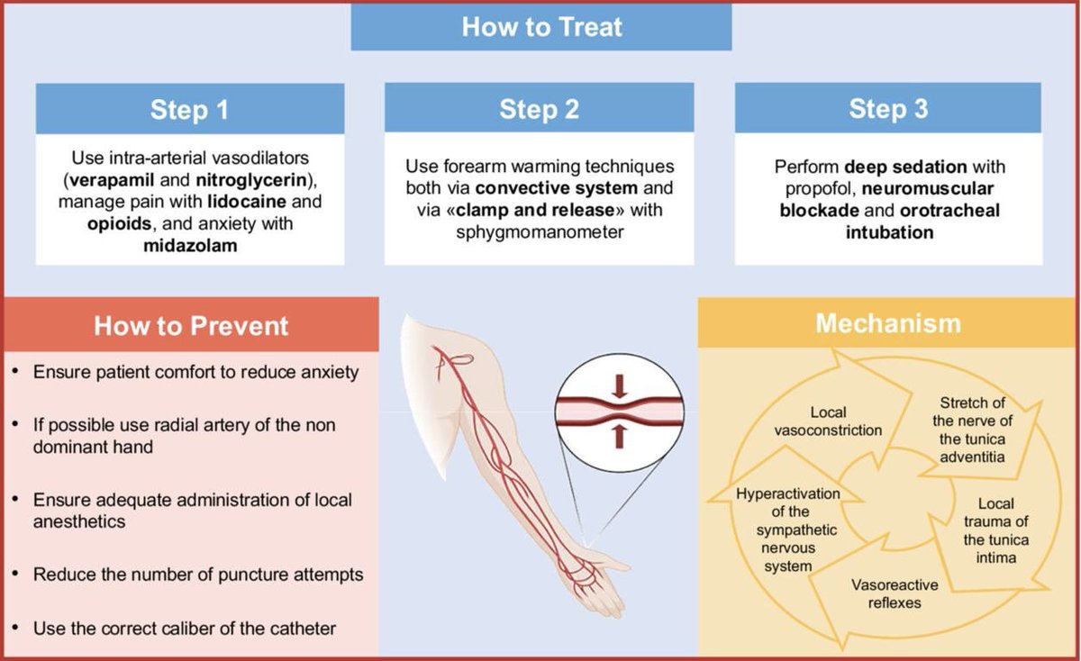 Rosaria Sofia tweet media