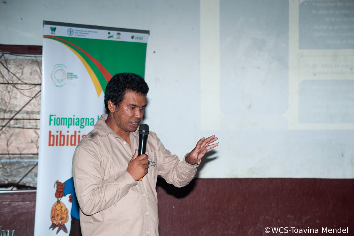 WCS_Mada's tweet image. On June 3, WCS brought together over 60 regional, local and community players, in Mandritsara for the 2025 SWM Sustainable Wildlife Management regional workshop to review progress and plan for year 3.
#SWMProgramme #WCSMadagascar