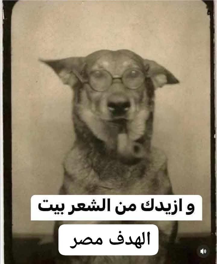 ميمزاوي باشا (@memesawyy) on Twitter photo 