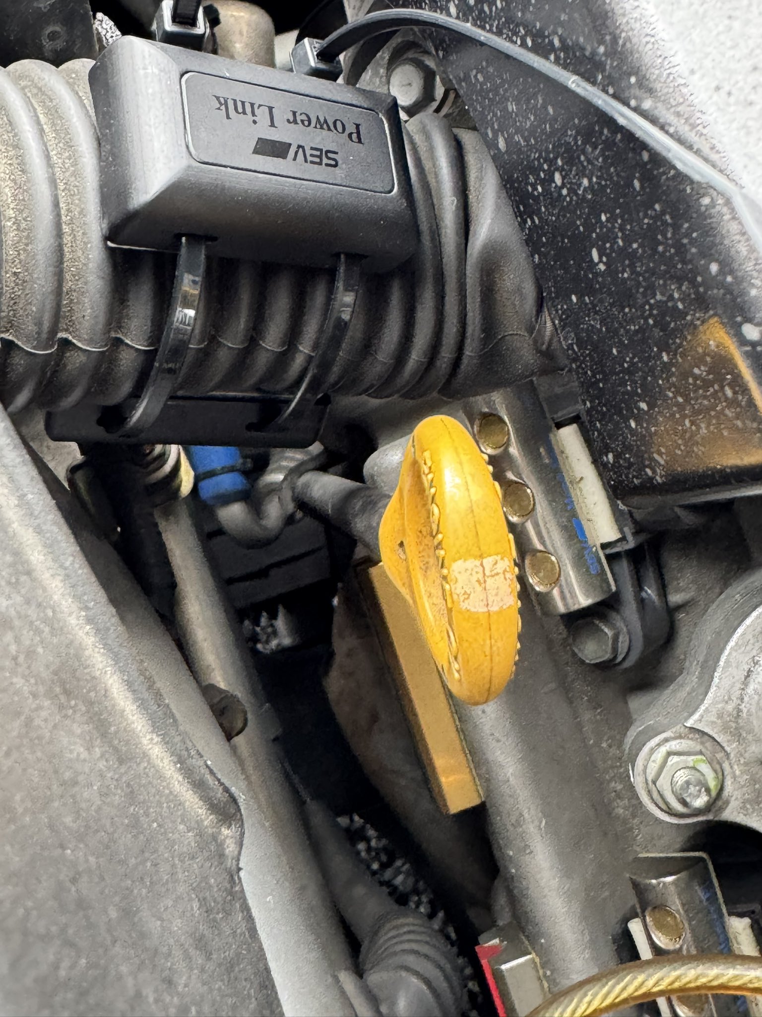 在庫OK ラスト1個】SEV パワーリンク 在庫OK ラスト1個】SEV パワー