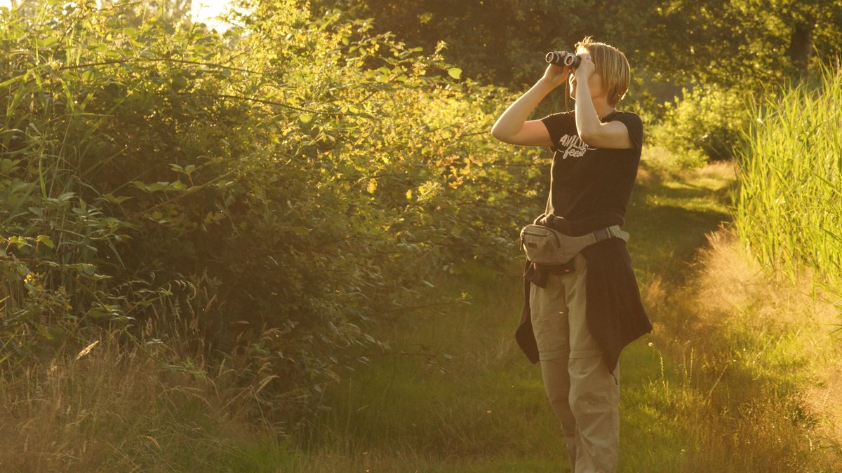📝We zoeken twee dossier- en gegevensbeheerders voor ons werkingsgebied in het noorden van #Antwerpen. Wil je het verschil maken in het bos- en natuurbeheer in Vlaanderen? Dan is deze job iets voor jou!

🤠Daarnaast zoeken we twee boswachters in de regio Kust-Westhoek. Voor wie