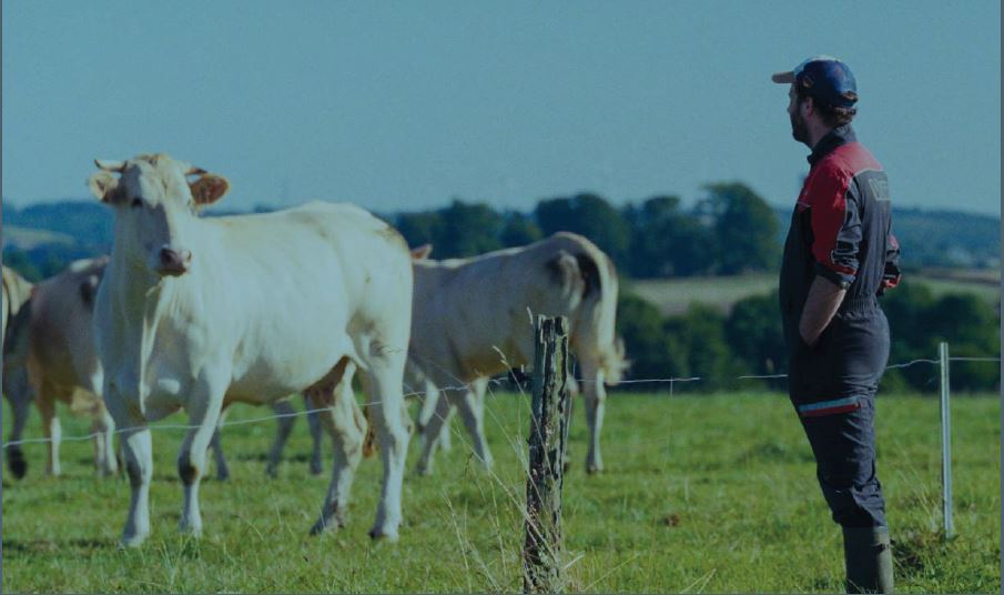 🎬 Lancement de la production de la collection FAR OUEST !

France 3 Bretagne et les chaînes de télévisions bretonnes donnent le coup d'envoi de 4 films de fiction inspirés du régional contemporain.

📍 Premier tournage à Plestin-les-Grèves dès aujourd'hui !