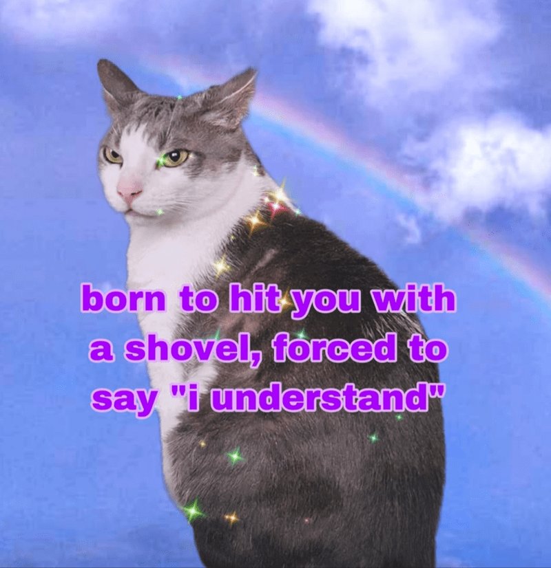 Anthropolegiste's tweet image. La machine à café l&apos;a réveillée mais je me faisais un café pour continuer les travaux