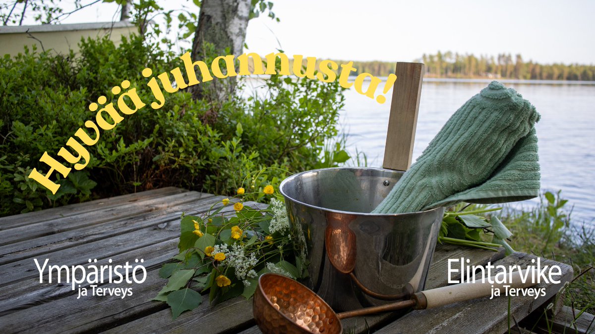 Kesä on lämpöä, iloa ja valoa: HYVÄÄ JUHANNUSTA!