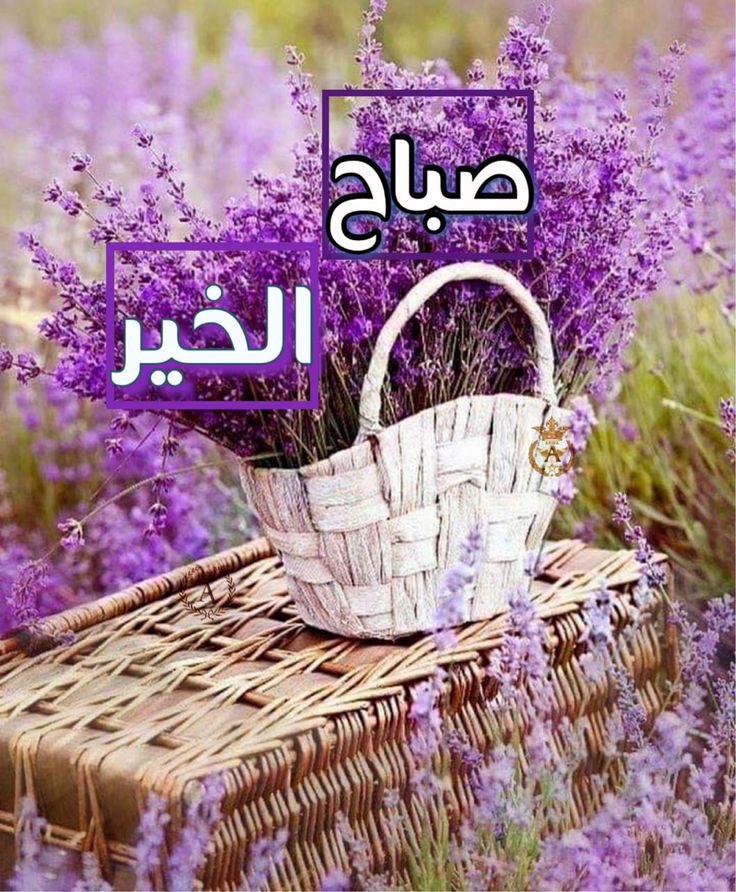 صباح الخير 💜