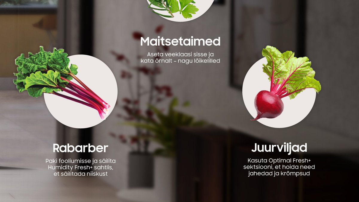 Suvi toob endaga kaasa kireva valiku värskeid aiasaadusi, mis on täis vajalikke toitaineid, mida sinu keha pärast talve igatseb. 🍓 
Siit näed, mida otsida ja kuidas seda ideaalselt säilitada oma BESPOKE külmikus. 🥕 👩‍🍳 

Uuri lähemalt: bit.ly/47mDclq