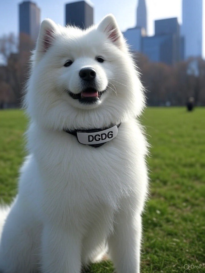 White Samoyed #DRC20 
Building 1M holders gem 💎 

🔥Trade $DGDG on $Doge 
👉Doggy market 
doggy.market/dgdg

👉dogelabs marketplace 
doge-labs.com/drc20/dgdg

👉Wufi swap 
0x25825722c07e58d2EB5445595CD30890A36aE202
wufiswap.com/#/swap

🚀1M🚀10M🚀20M🚀CEX/DEX🚀 $DOGI