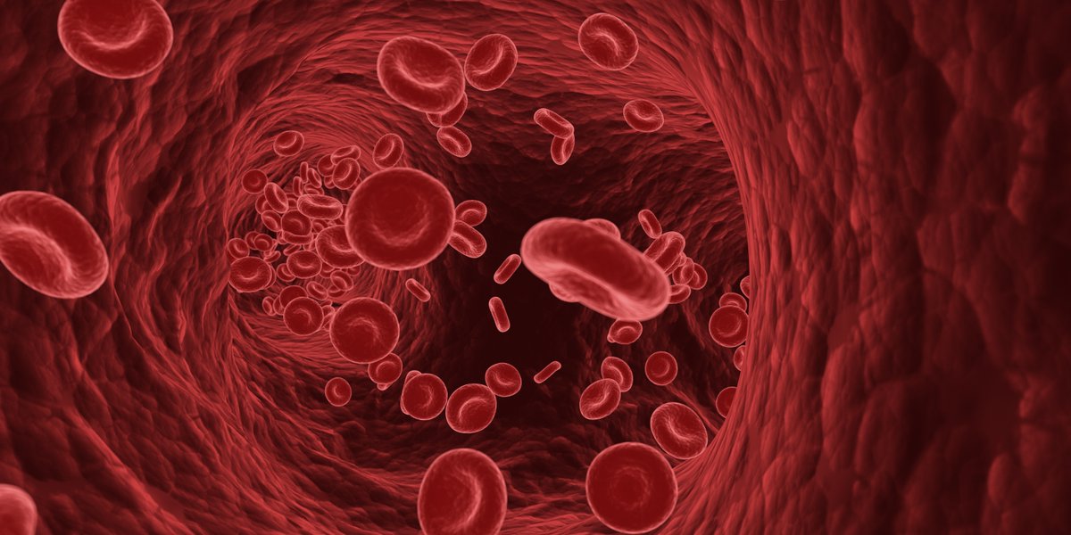 Join us for #WorldSickleCellDay on Thursday 19 June 2025.

We're collaborating with the Sickle Cell Alliance for a special event kindly sponsored by the West London Haemoglobinopathy Coordination Centre.
 
Find out more, including how to register. ➡️ eventbrite.co.uk/e/world-sickle…