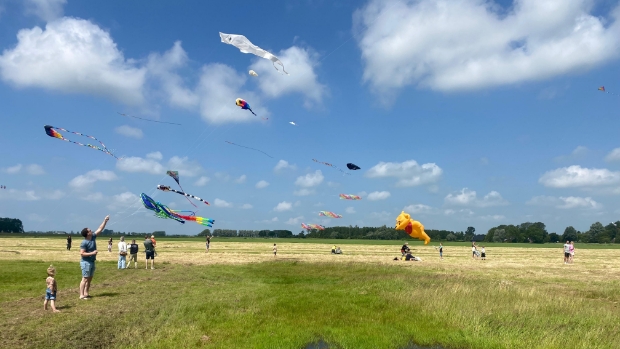 Vliegerfestival Anne-Famkes Pleats op 21 juni -  actiefonline.nl/l/65679