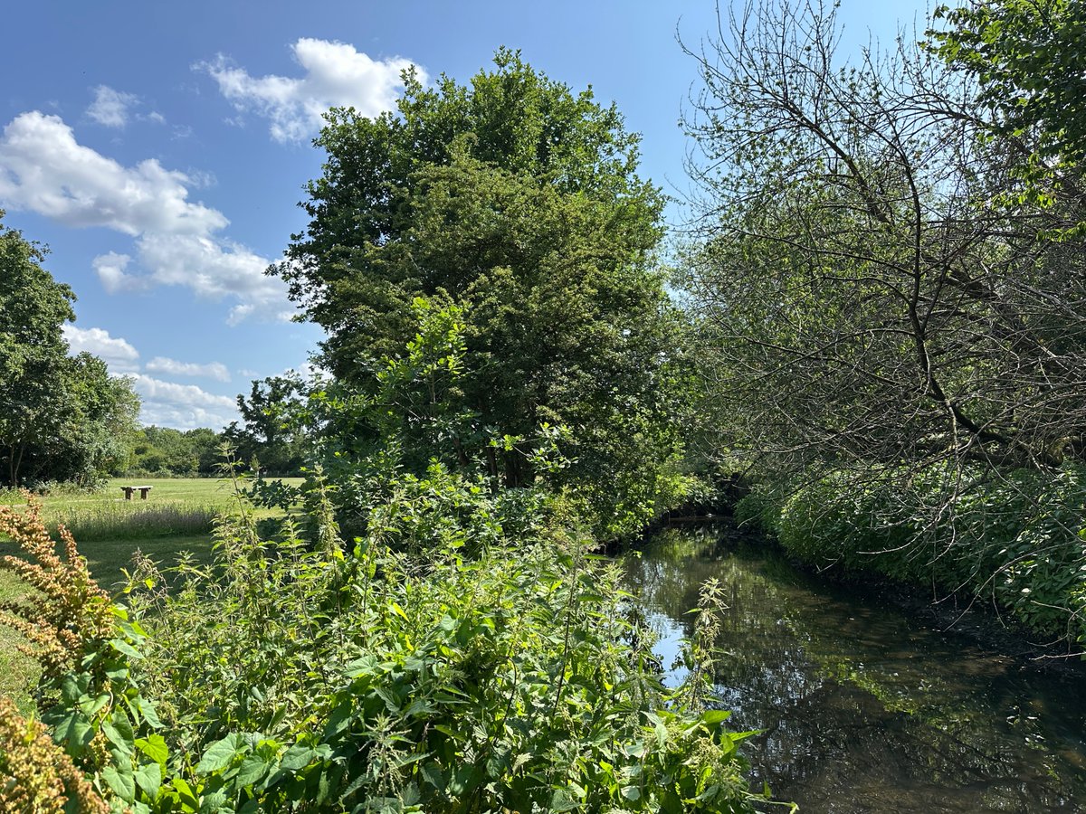 Crane Valley Partnership (@cvp_cranevalley) on Twitter photo #virtualtour of the Crane Valley: River Crane at Waye Avenue Open Space, Cranford <a href="/LBofHounslow/">Hounslow Council</a>, June 2025
<a href="/LondonNPC/">London National Park City*</a> <a href="/CranfordAction/">Umme</a> <a href="/FriendsRivCrane/">FORCE</a> <a href="/habsandheritage/">Habitats & Heritage</a> <a href="/EnvAgencySE/">Environment AgencySE</a> <a href="/ParksforLondon/">Parks for London</a> <a href="/Thames_RvrsTrst/">Thames Rivers Trust</a> #virtualtour of the Crane Valley: River Crane at Waye Avenue Open Space, Cranford <a href="/LBofHounslow/">Hounslow Council</a>, June 2025
<a href="/LondonNPC/">London National Park City*</a> <a href="/CranfordAction/">Umme</a> <a href="/FriendsRivCrane/">FORCE</a> <a href="/habsandheritage/">Habitats & Heritage</a> <a href="/EnvAgencySE/">Environment AgencySE</a> <a href="/ParksforLondon/">Parks for London</a> <a href="/Thames_RvrsTrst/">Thames Rivers Trust</a>
