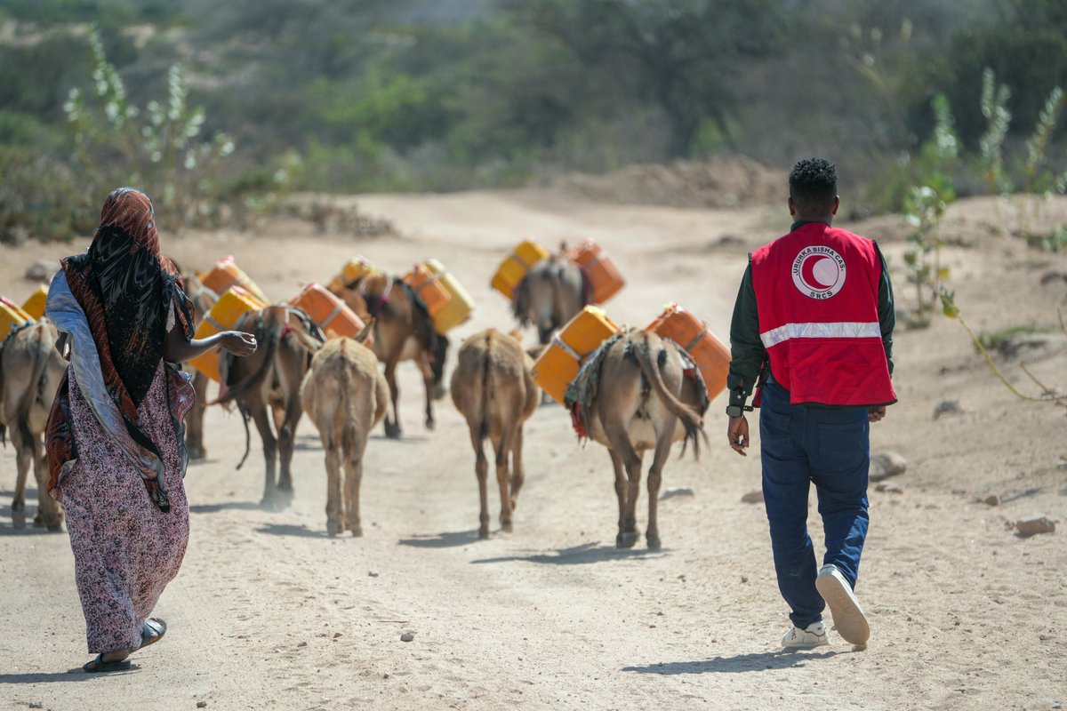 The EU is providing €250,000 for lifesaving aid, including clean water, healthcare, shelter, for vulnerable families in response to the severe drought; a humanitarian crisis that has persisted since 2022 and that is worsening due to consecutive failed rainy seasons.