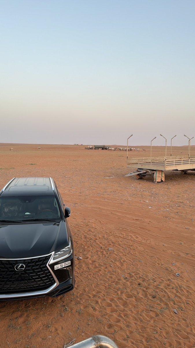 معى الوضح لي يومين في راحلات استجمام
لو اخوي معرس في حداه تعذرته 

على شفه وابراله حاذف البسام 
مخلية حوالي جو ماثارت اغبرته 

على شان خاطر طافحاً عنده السوم 
كتبلي يبه شيك الاهلي وافرته 

منعني غلاه والمولع مهو بيلم 
انا لعشقت الشي لو حيد قدرته