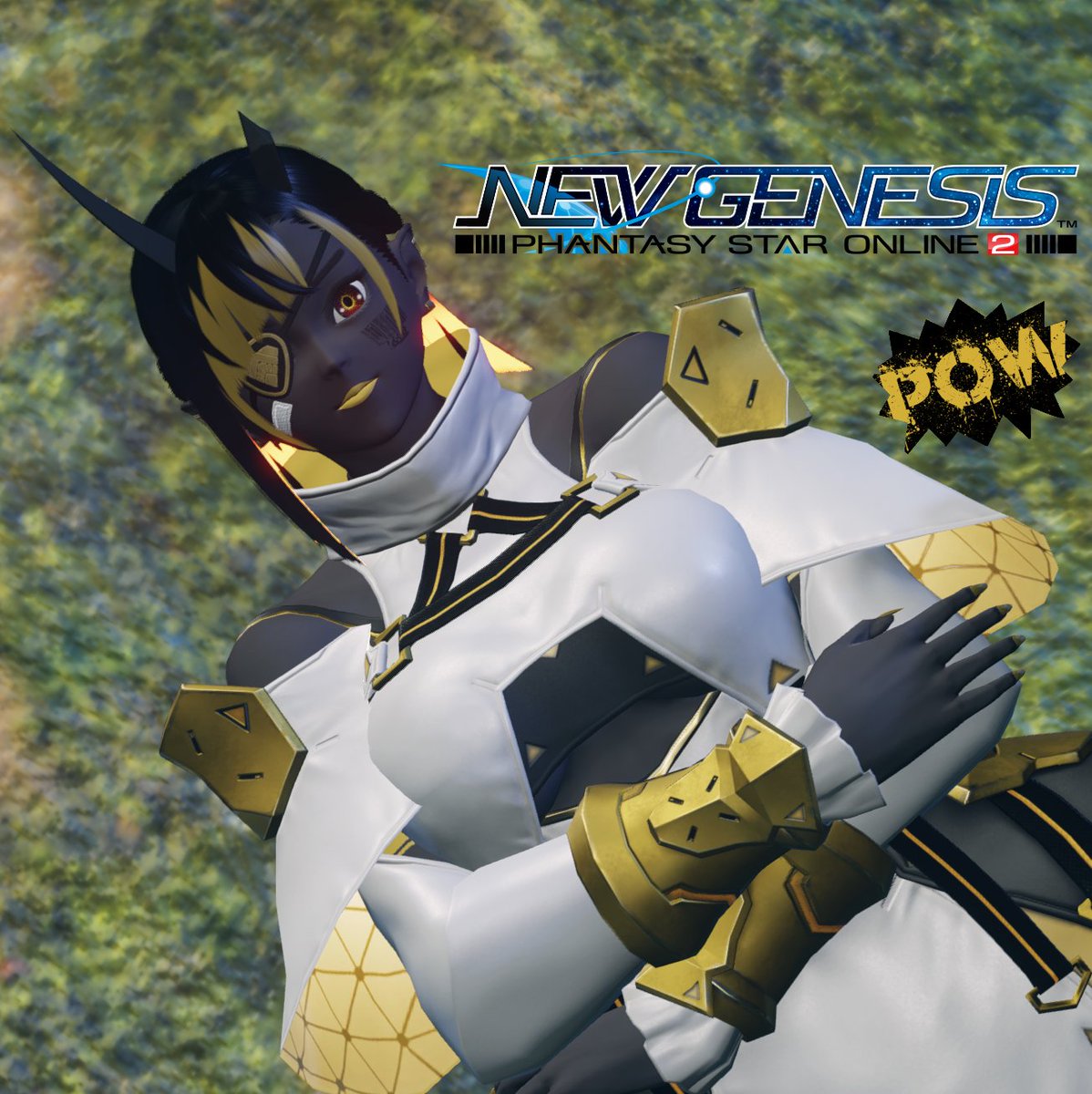 PowPaladin tweet media