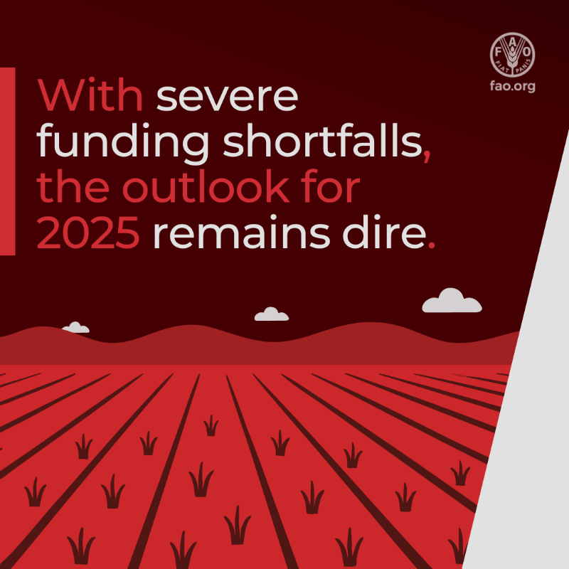 FAOemergencies's tweet photo. .@FAO-@WFP warn acute food insecurity is set to worsen in 13 #HungerHotspots, putting millions of lives at risk.

Without swift and scaled up humanitarian intervention, hunger will likely escalate, food access will dwindle, and instability is expected to spread.

#FightFoodCrises