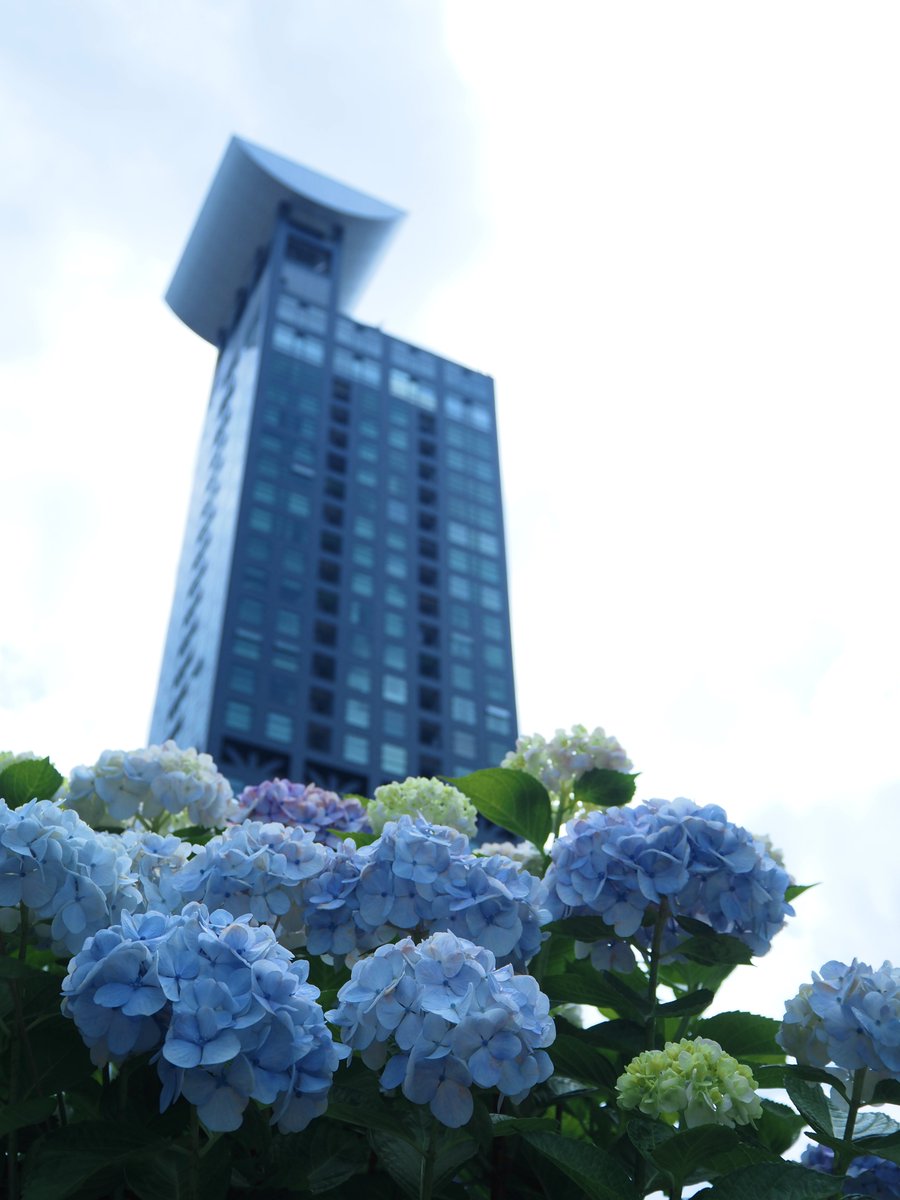 bisukopictures's tweet photo. 門司港レトロ散策。
何度訪れても好きな場所。
母は足が減ると文句を垂れるが私はもっともっと歩いて周りたい…。
ノスタルジックで可愛い場所。
#門司港レトロ #キリトリセカイ
#北九州 #OLYMPUS #MarkVI
#ネオノスタルジー https://t.co/FW1kjRWD5H