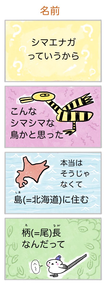 シマエナリン tweet media