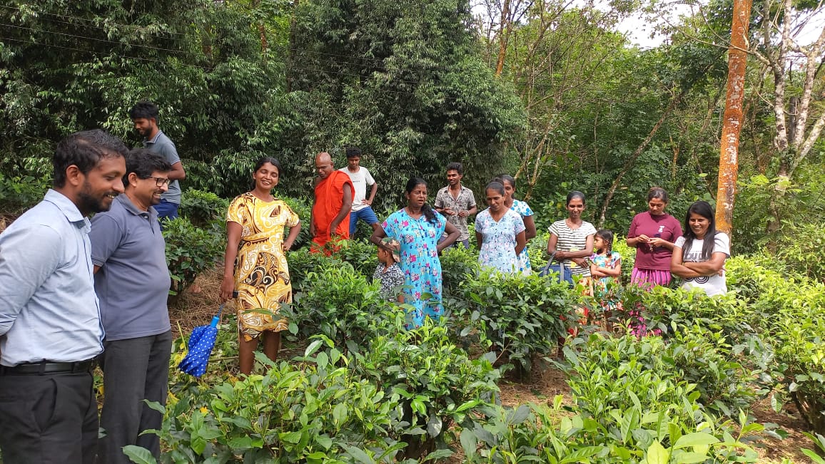 Patikiri-Kumbalathara Foundation tweet media