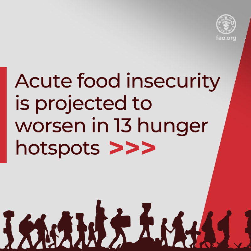 FAOemergencies's tweet photo. .@FAO-@WFP warn acute food insecurity is set to worsen in 13 #HungerHotspots, putting millions of lives at risk.

Without swift and scaled up humanitarian intervention, hunger will likely escalate, food access will dwindle, and instability is expected to spread.

#FightFoodCrises