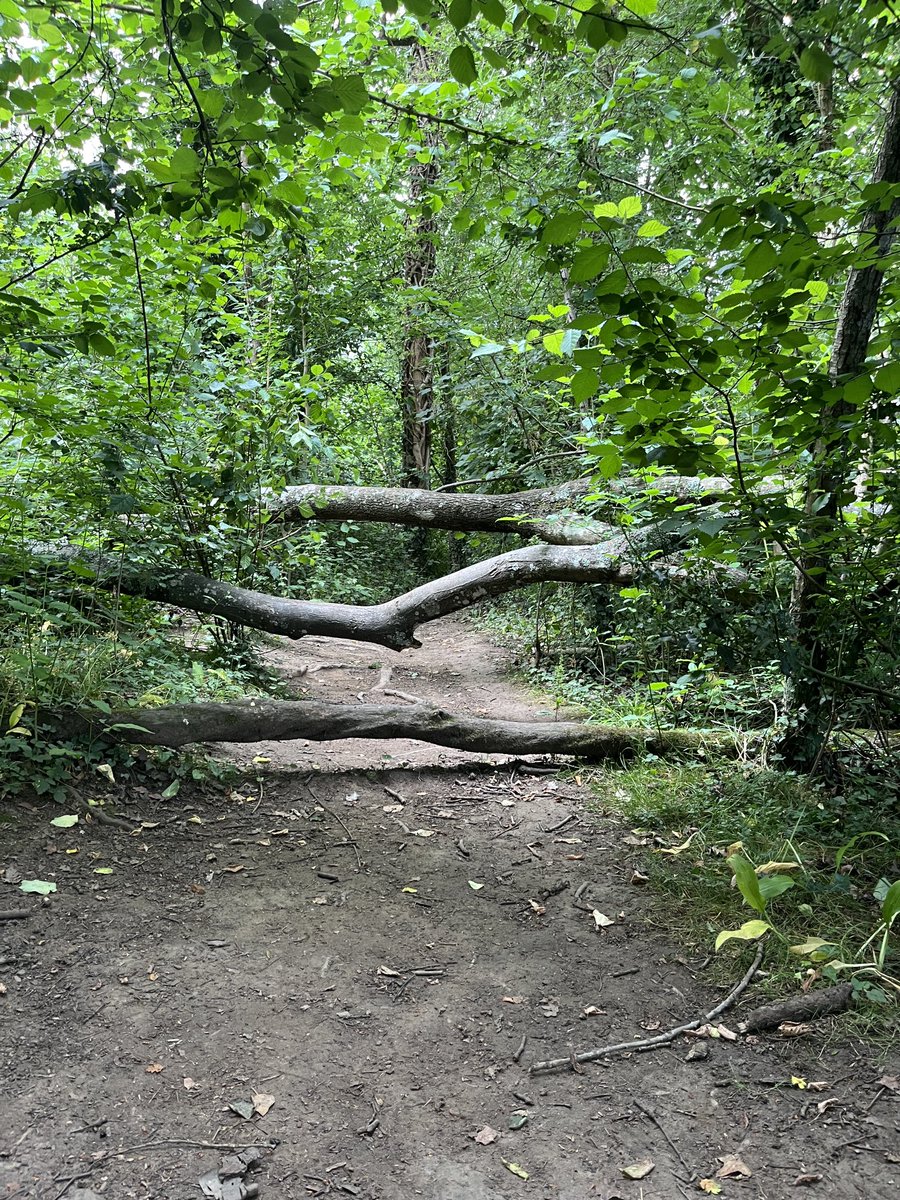 Monday morning in one picture #monday