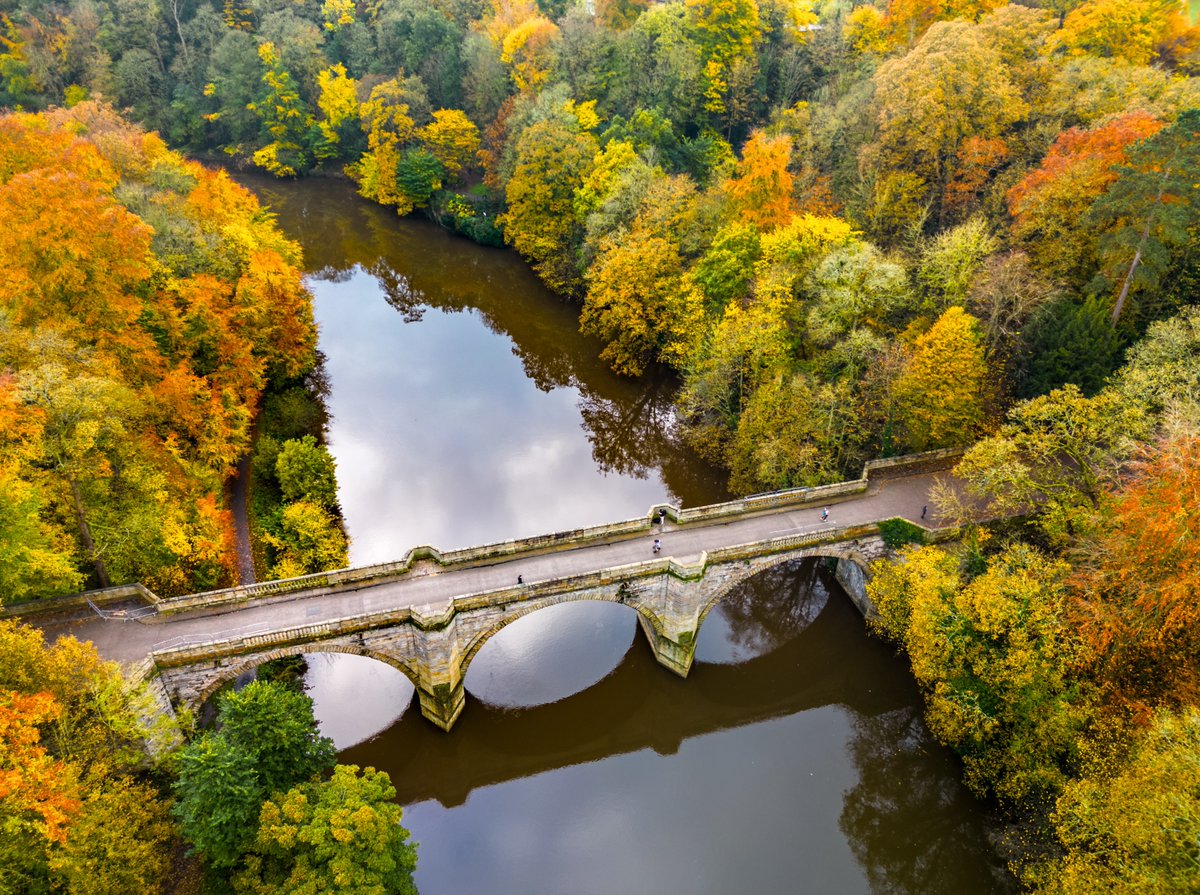 Today’s photography theme is AUTUMN

Show me an AUTUMNAL Image

👉Reposting favs - Like and Repost your favs

📷ONE PHOTO ONLY - NO LINKS - OWN PHOTO ONLY

#rowcase #photographychallenge