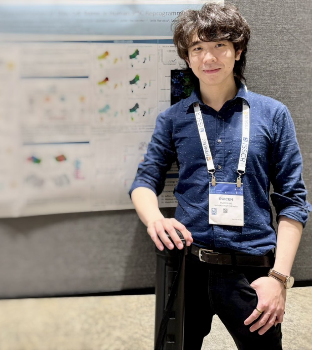 David He tweet media