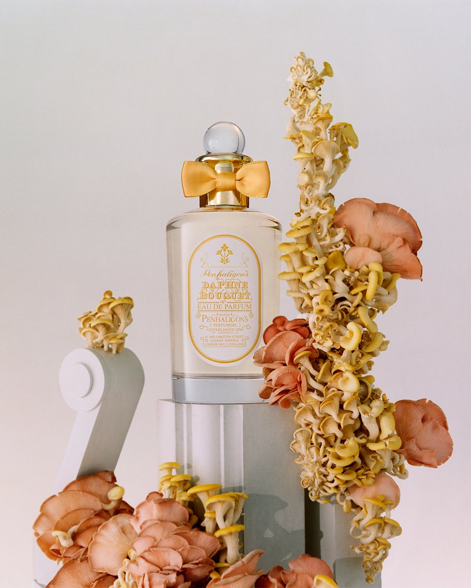 Highgrove Gardens (@highgrovegarden) on Twitter photo Together with <a href="/PenhaligonsLtd/">Penhaligon's</a>, we are honoured to present Daphne Bouquet, the new limited-edition eau de parfum. Inspired by the beautiful woodland florals of Highgrove Gardens and created in support of <a href="/KingsFdn/">The King's Foundation</a>. Buy now: bit.ly/3FK7XY8 Together with <a href="/PenhaligonsLtd/">Penhaligon's</a>, we are honoured to present Daphne Bouquet, the new limited-edition eau de parfum. Inspired by the beautiful woodland florals of Highgrove Gardens and created in support of <a href="/KingsFdn/">The King's Foundation</a>. Buy now: bit.ly/3FK7XY8
