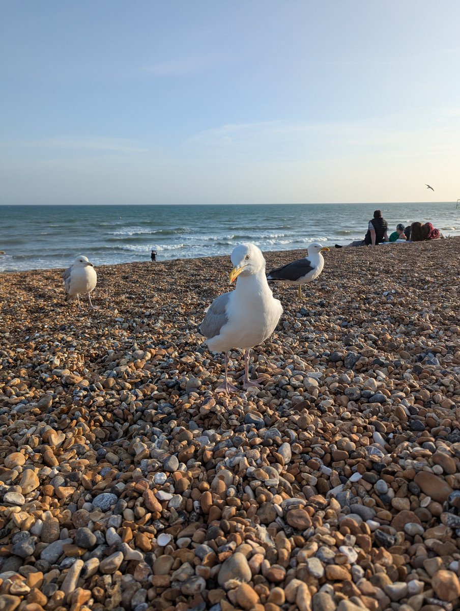 Training day BOMSS 2025! Agenda full of great presentations and discussions at lovely and sunny Brighton! First interesting topic of the day commissioning and funding for annual monitoring after Bariatric surgery <a href="/bariatricBOMSS/">BOMSS</a>